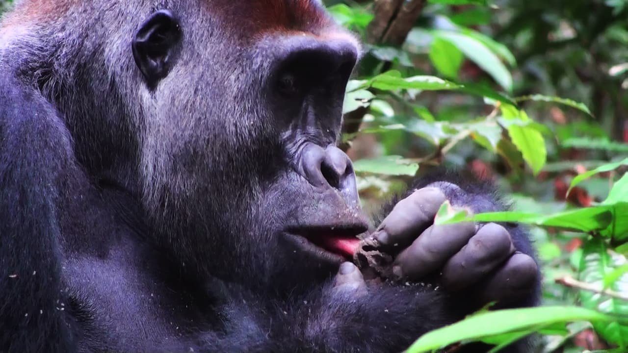 Endangered Species Day is not just about endangered species