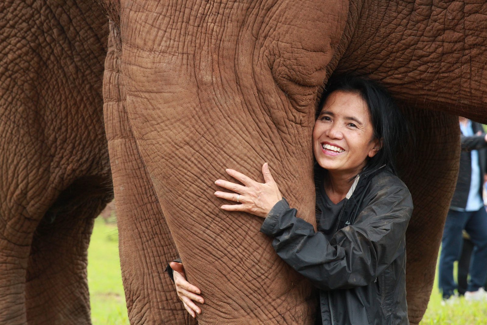 Lek Chailert: When the Lawyer met the Elephant Whisperer