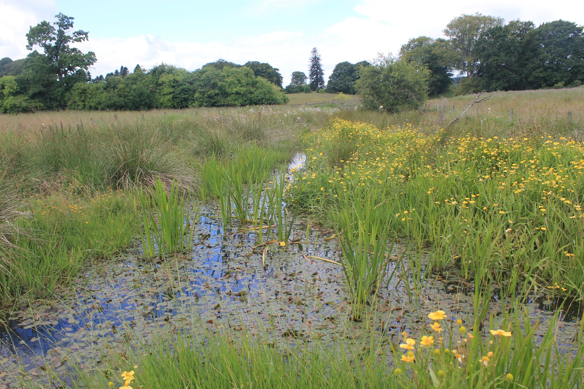 Beaver Trust – photo 3