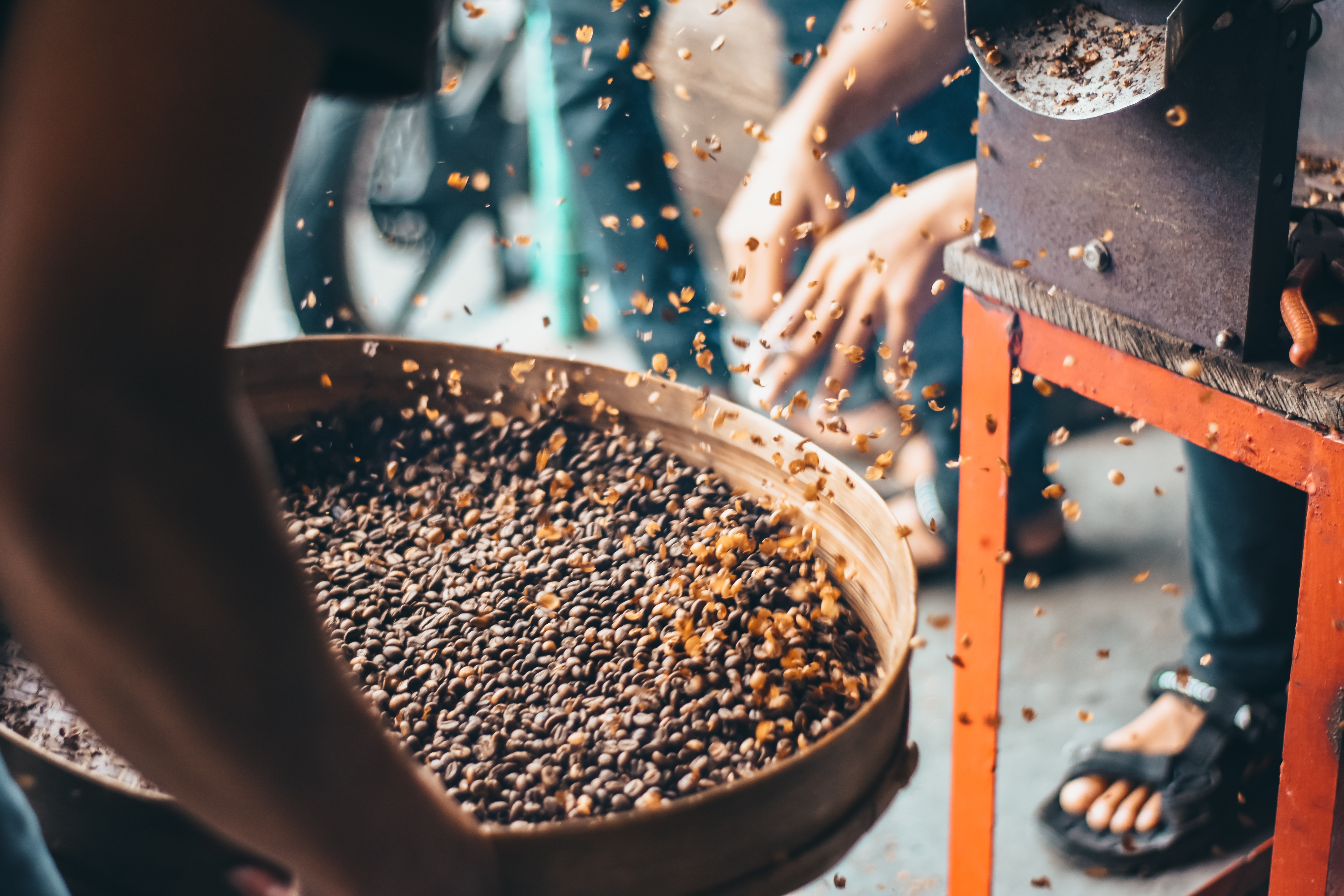 The Trade That Turned a Forest Animal Into a Coffee Machine