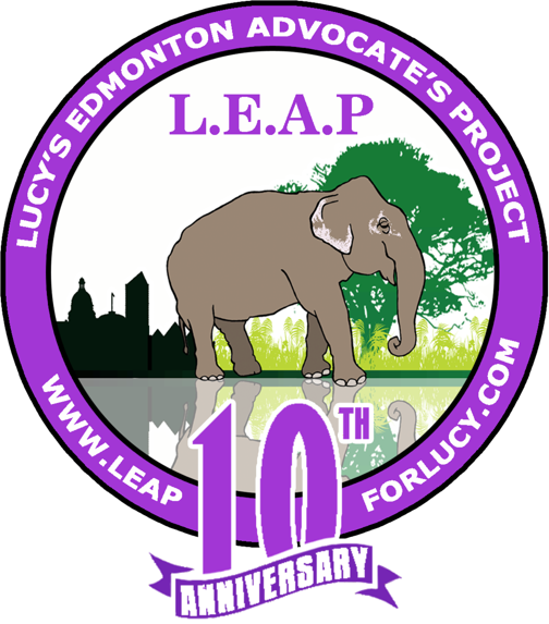 Leap for Lucy logo