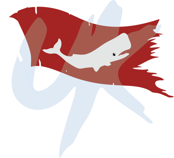 Neptune's Pirates logo