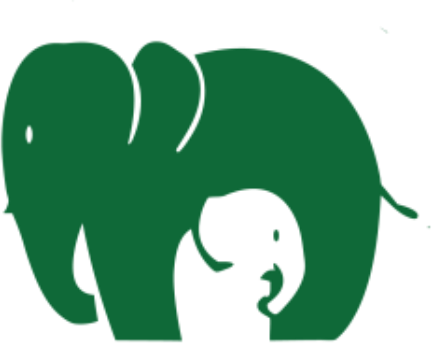 Save Elephant Foundation logo