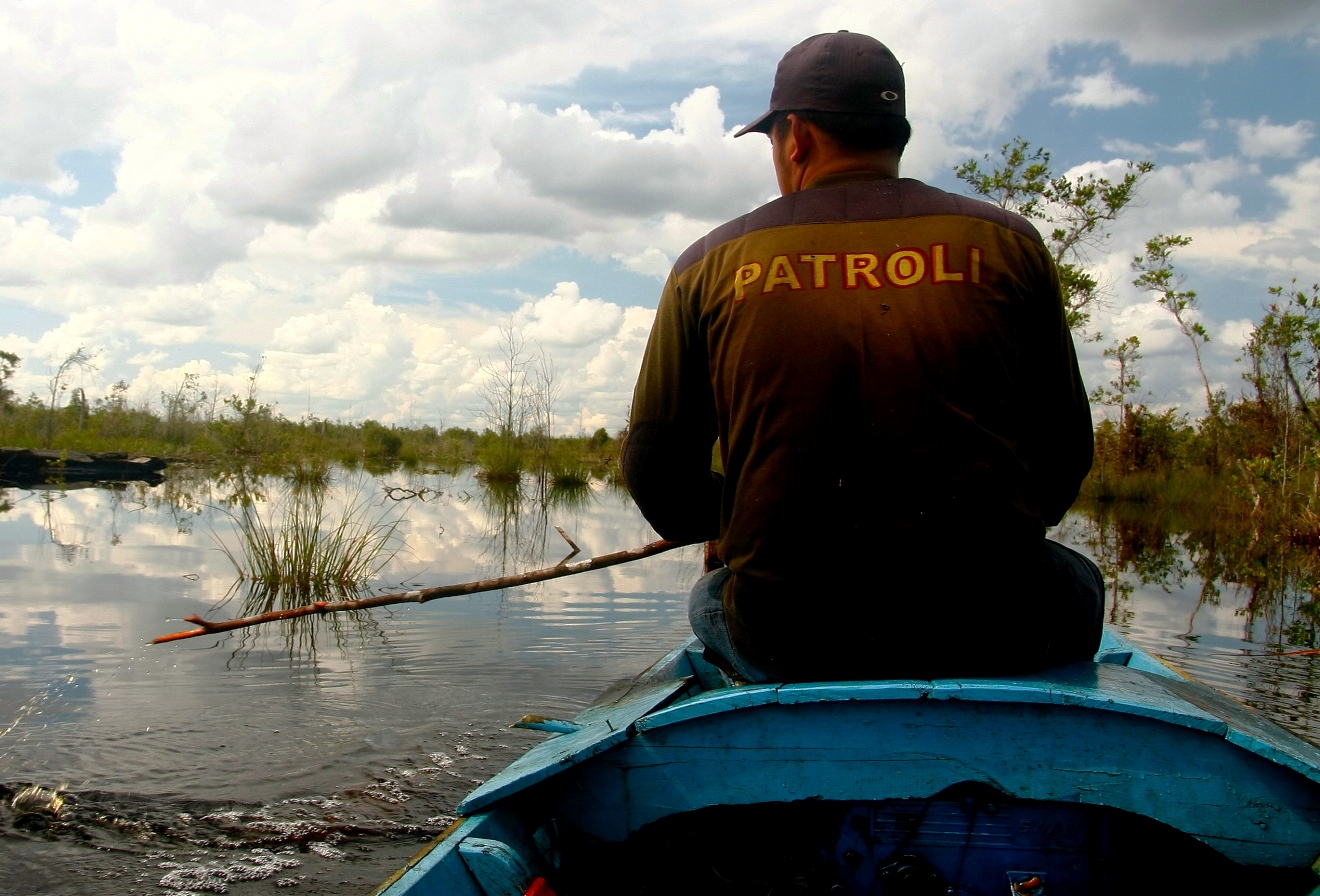 The Orangutan Project – photo 1