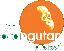 The Orangutan Project logo