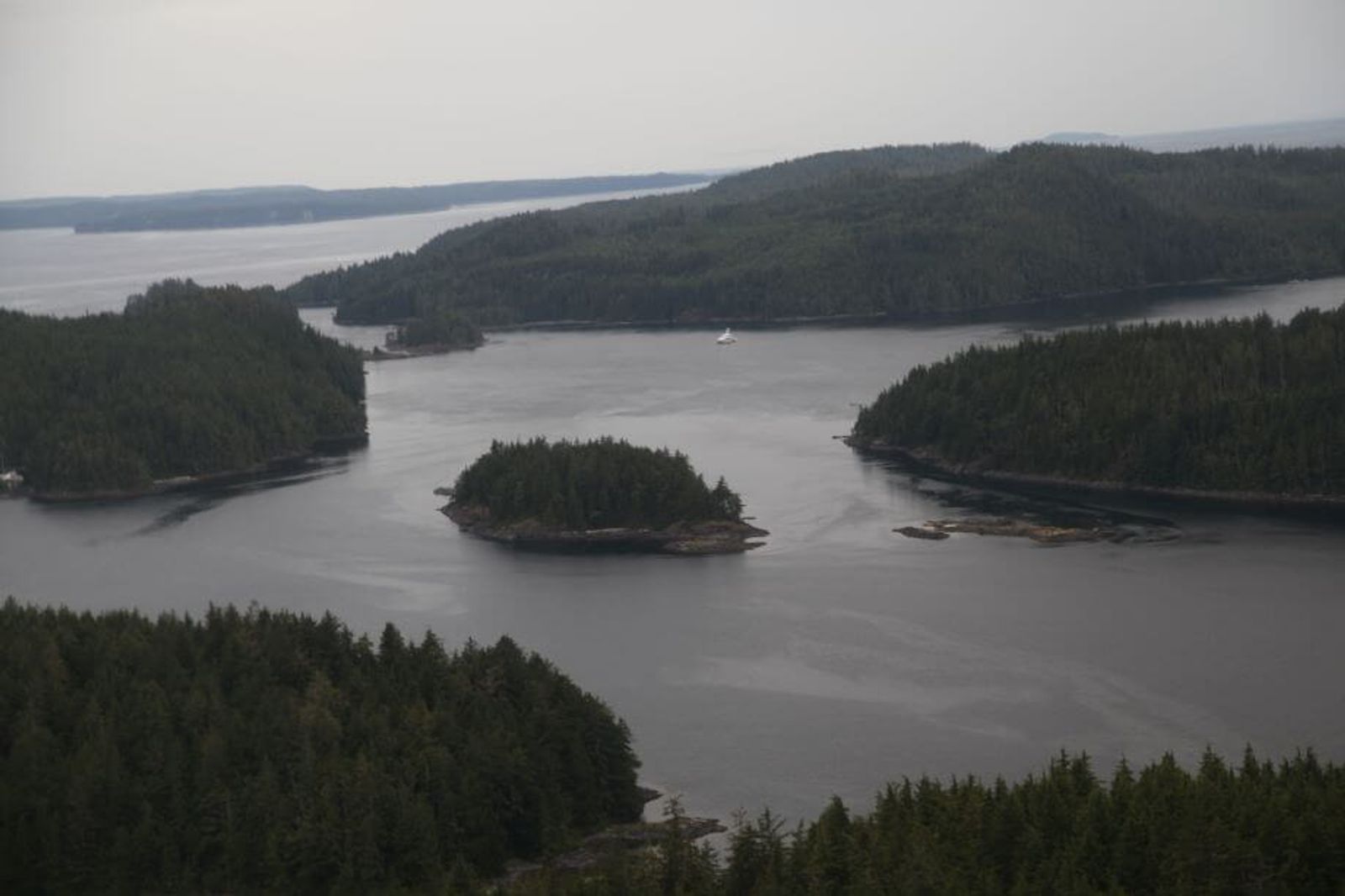 The Whale Sanctuary Project – Building North America's First Whale Sanctuary