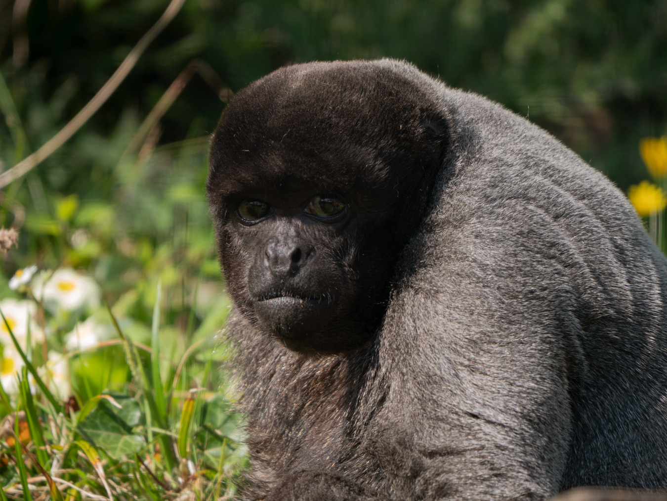 Wild Futures – photo 2