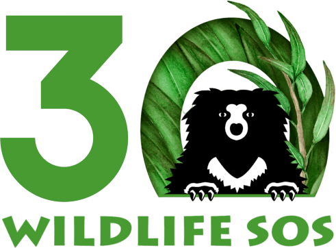 Wildlife SOS logo