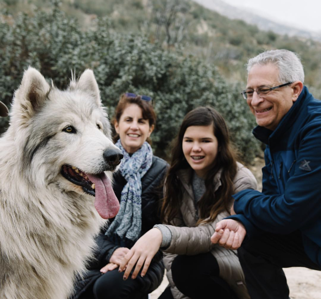Wolf Connection – A Forest Home for Rescued Wolves