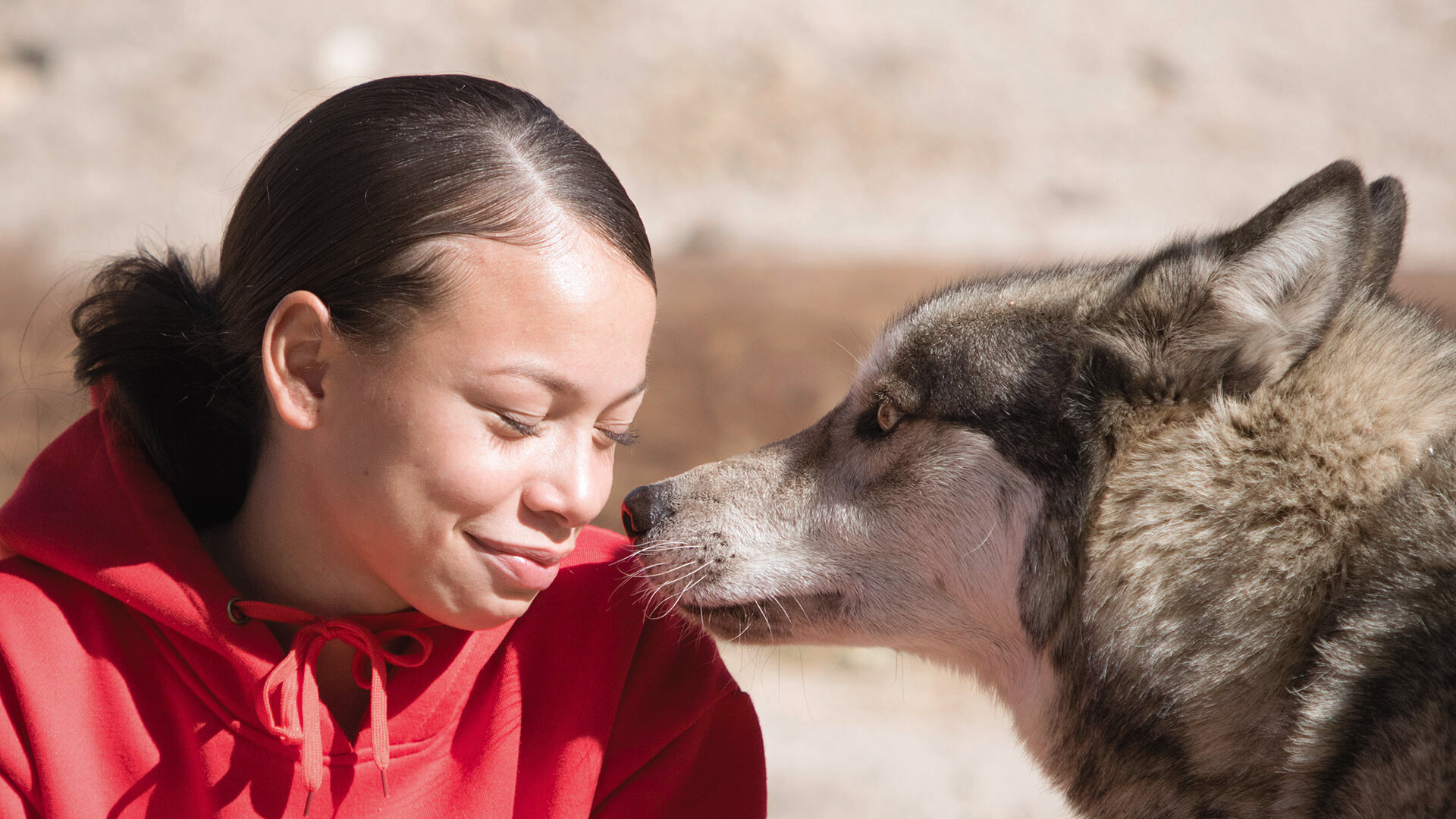 Wolfdogs Offer a Path to Connection for Young People