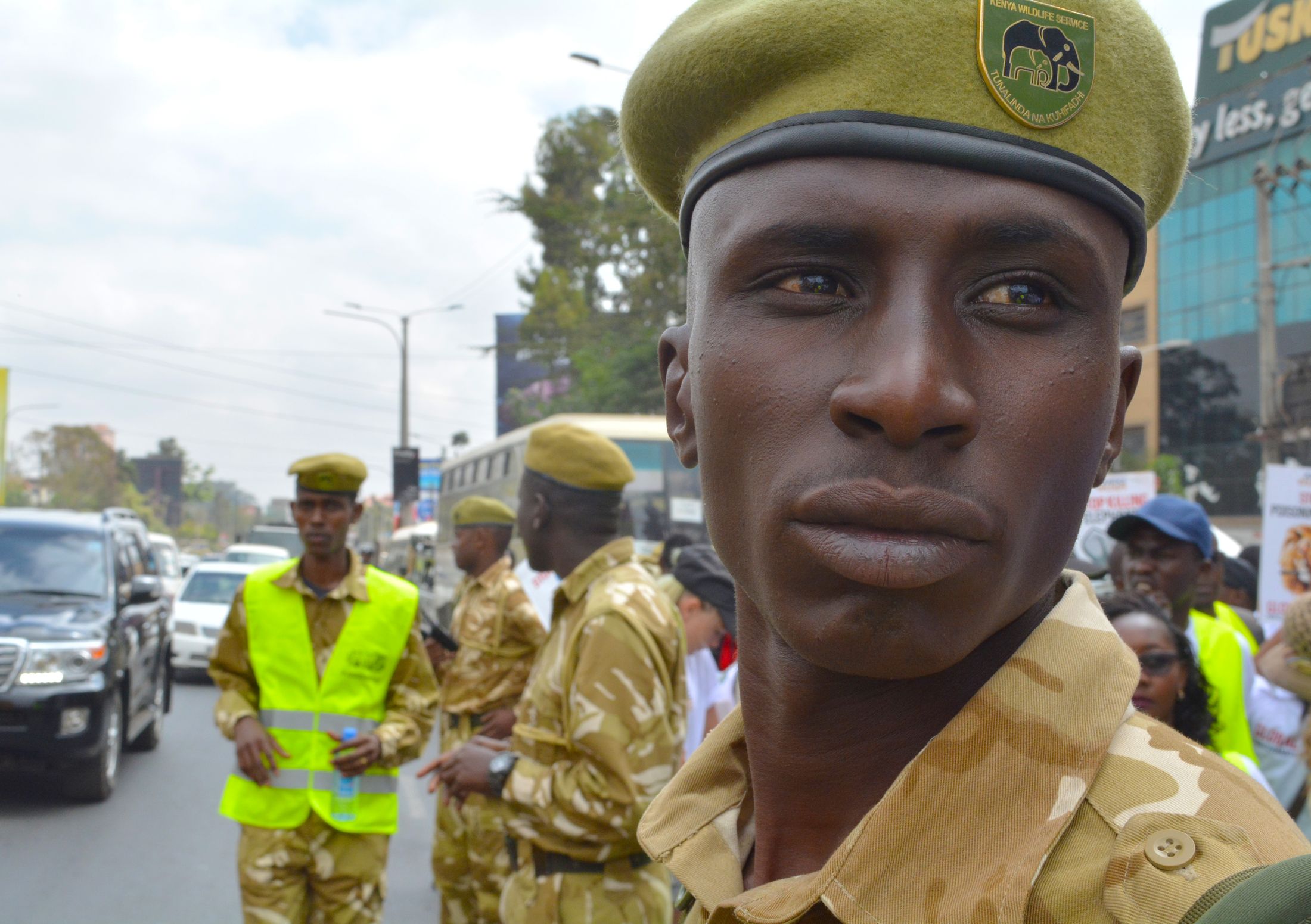 Wildlife rangers in the field — the frontline teams each donation is tracked through to.