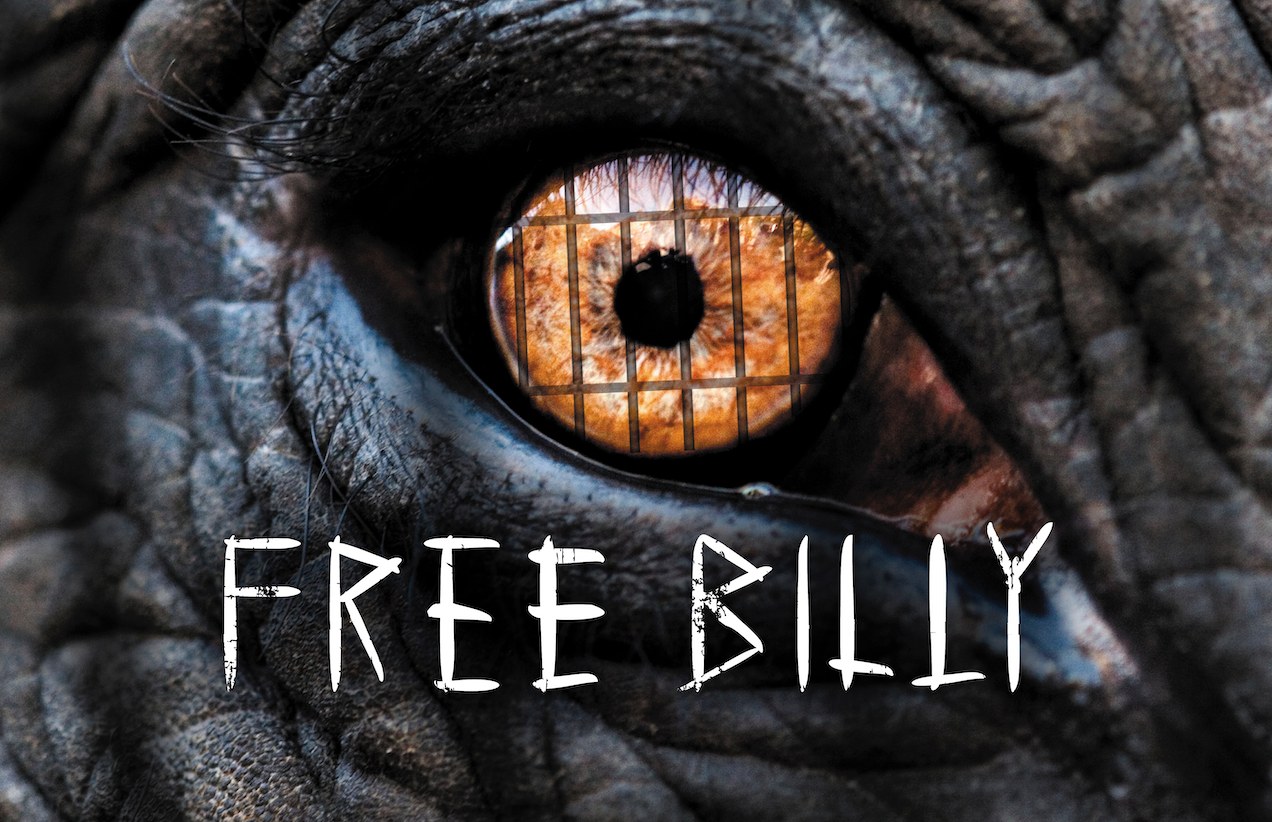 Free Billy â Billy, the lone elephant at Los Angeles Zoo, and the campaign to move him to sanctuary