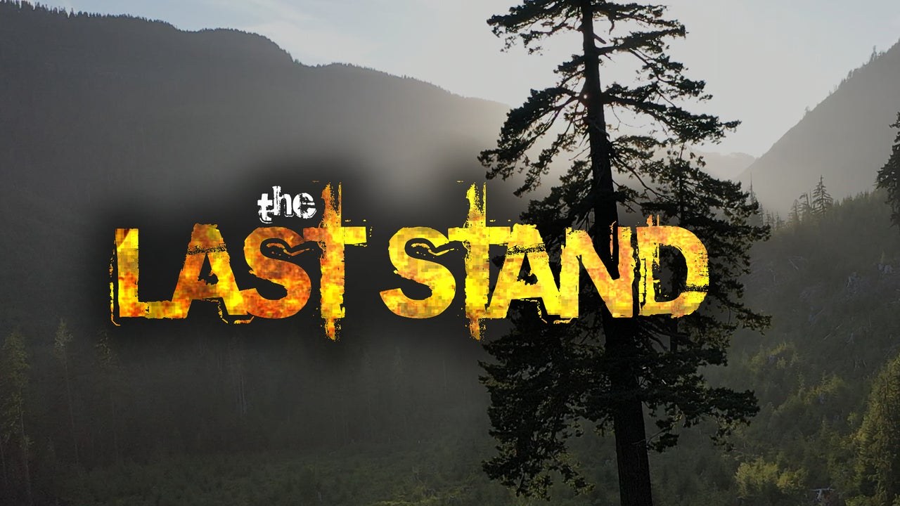 Rainforest canopy, from the Ecoflix film The Last Stand