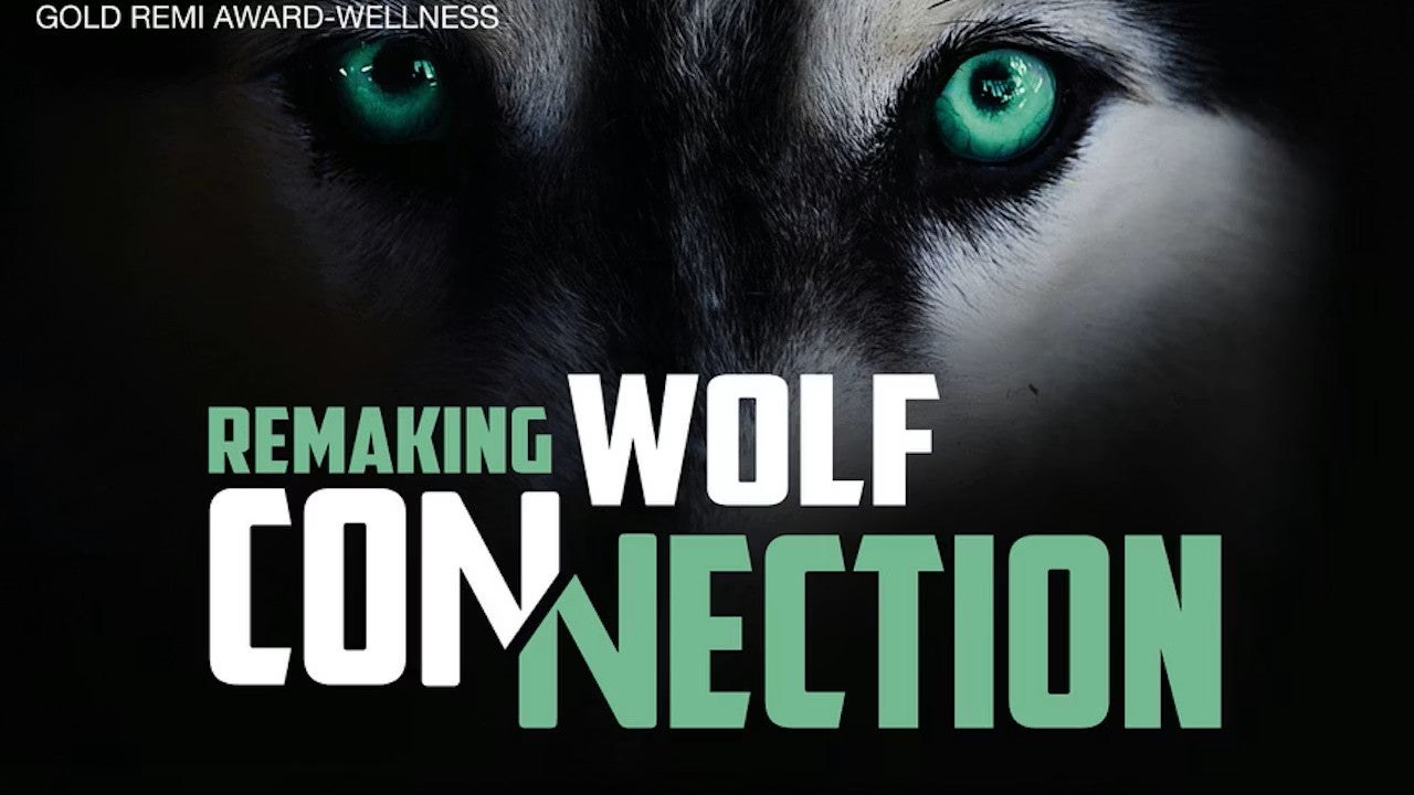Rescued wolves, from the film Wolf Connection