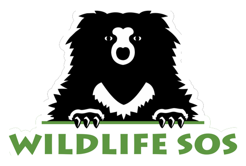 Wildlife SOS
