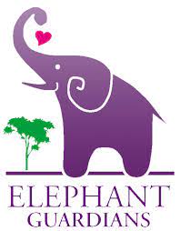 Elephant Guardians