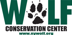 The Wolf Conservation Center