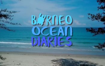 BORNEO-OCEAN-DIRARIES